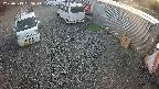 yotec2-20250313165015.jpg