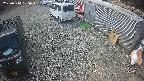 yotec2-20250314105015.jpg