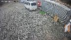 yotec2-20250314120016.jpg