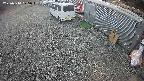 yotec2-20250314125015.jpg