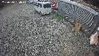 yotec2-20250314130016.jpg