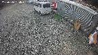 yotec2-20250314134014.jpg