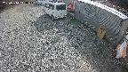 yotec2-20250314144016.jpg