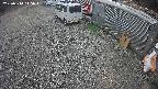 yotec2-20250314145014.jpg