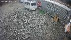 yotec2-20250314151016.jpg