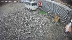 yotec2-20250314153014.jpg