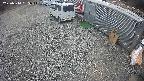 yotec2-20250314155016.jpg