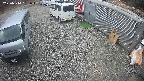yotec2-20250314161015.jpg