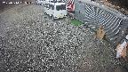 yotec2-20250314165016.jpg
