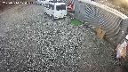 yotec2-20250314170015.jpg