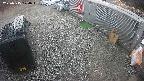 yotec2-20250315074014.jpg