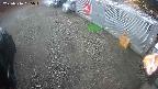 yotec2-20250316135016.jpg
