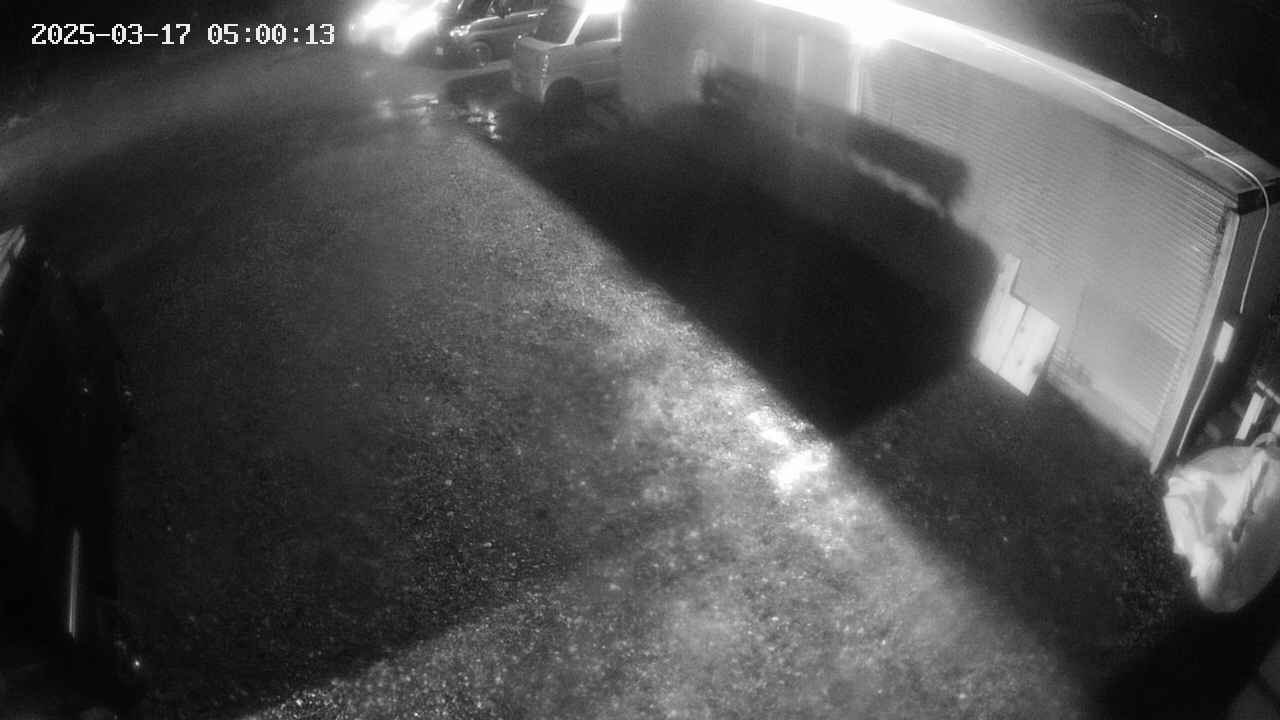 yotec2-20250317050013.jpg