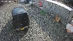 yotec2-20250318145015.jpg