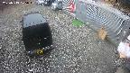 yotec2-20250319075015.jpg
