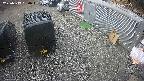 yotec2-20250319090015.jpg
