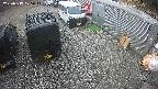 yotec2-20250319105017.jpg