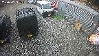 yotec2-20250319112015.jpg