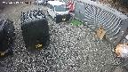 yotec2-20250319115015.jpg