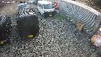 yotec2-20250319153015.jpg
