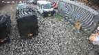 yotec2-20250319154015.jpg