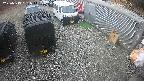 yotec2-20250319161015.jpg
