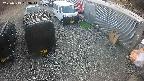 yotec2-20250319163015.jpg