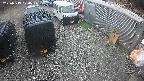 yotec2-20250319170015.jpg