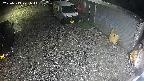 yotec2-20250319221016.jpg