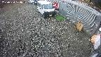 yotec2-20250320070018.jpg