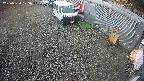 yotec2-20250320073015.jpg