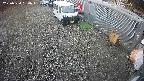 yotec2-20250320080017.jpg