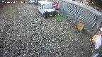 yotec2-20250320081017.jpg