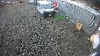 yotec2-20250320090017.jpg