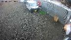 yotec2-20250320095016.jpg