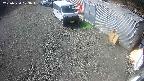 yotec2-20250320103014.jpg