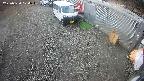 yotec2-20250320104017.jpg