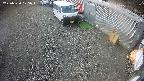 yotec2-20250320105014.jpg
