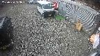 yotec2-20250320113014.jpg
