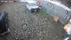 yotec2-20250320124014.jpg