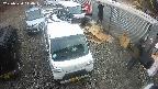 yotec2-20250320144016.jpg