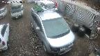 yotec2-20250325103014.jpg