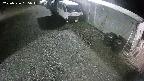 yotec2-20250326035017.jpg