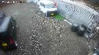 yotec2-20250328165018.jpg
