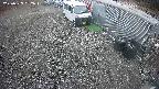 yotec2-20250329062017.jpg