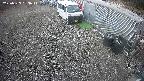 yotec2-20250329063016.jpg