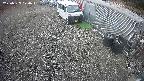 yotec2-20250329070015.jpg