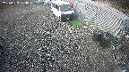 yotec2-20250329073015.jpg