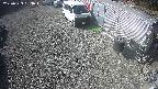 yotec2-20250329093017.jpg