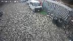 yotec2-20250329130015.jpg